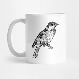 Bird Sparrow Hand Drawn Mug